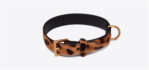 yves saint laurent dog collar|Altro.